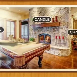 1 Pic N Words Level 270 Answers