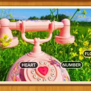 1 Pic N Words Level 272 Answers