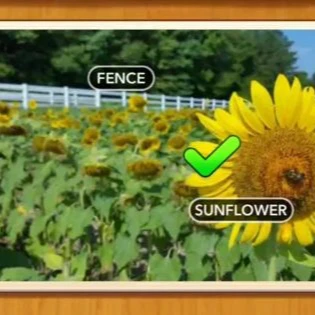 1 Pic N Words Level 273 Answers