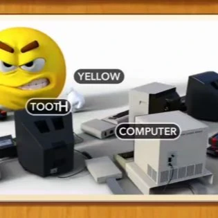 1 Pic N Words Level 295 Answers