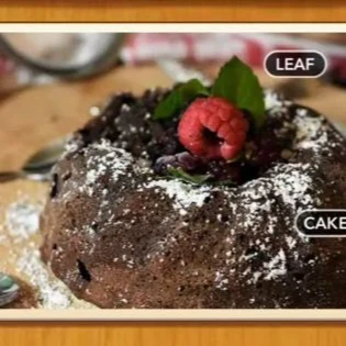 1 Pic N Words Level 297 Answers