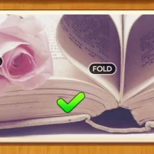 1 Pic N Words Level 298 Answers