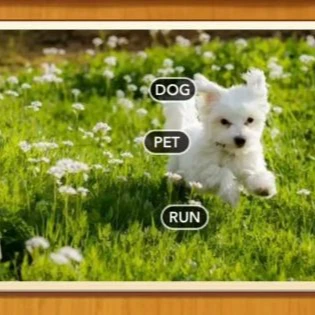 1 Pic N Words Level 299 Answers