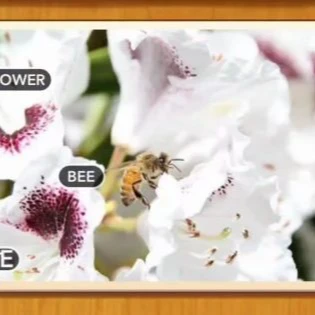 1 Pic N Words Level 3 Answers