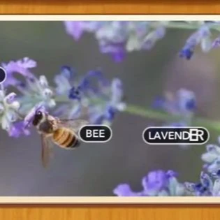 1 Pic N Words Level 30 Answers