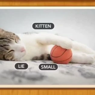 1 Pic N Words Level 304 Answers