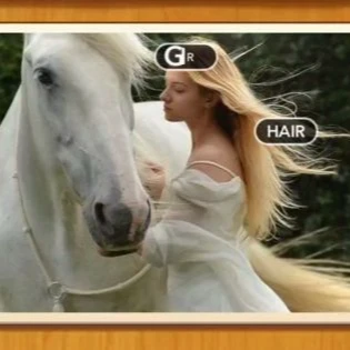 1 Pic N Words Level 306 Answers