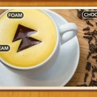 1 Pic N Words Level 310 Answers