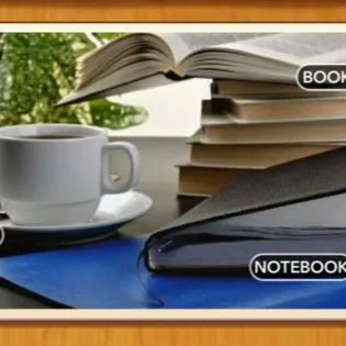 1 Pic N Words Level 313 Answers