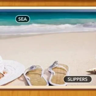 1 Pic N Words Level 319 Answers