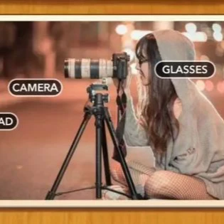 1 Pic N Words Level 320 Answers