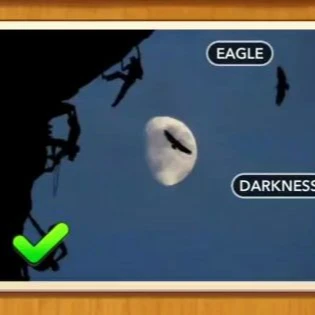 1 Pic N Words Level 33 Answers