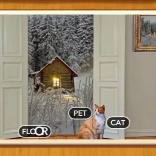 1 Pic N Words Level 340 Answers