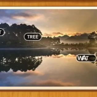 1 Pic N Words Level 343 Answers