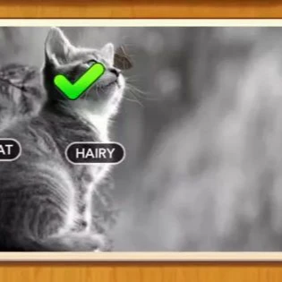 1 Pic N Words Level 349 Answers