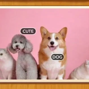 1 Pic N Words Level 357 Answers