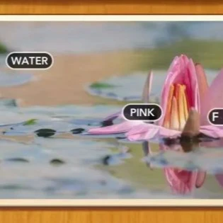 1 Pic N Words Level 361 Answers