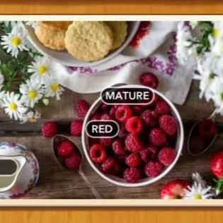 1 Pic N Words Level 369 Answers