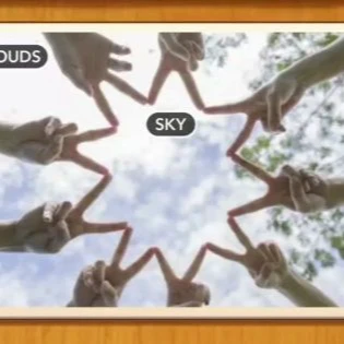 1 Pic N Words Level 37 Answers