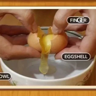 1 Pic N Words Level 370 Answers