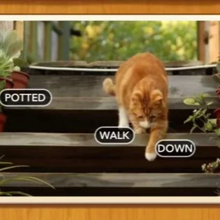 1 Pic N Words Level 371 Answers