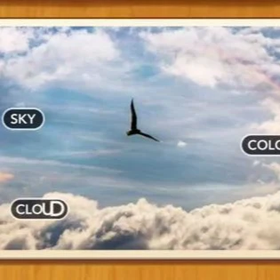 1 Pic N Words Level 374 Answers