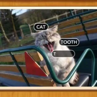 1 Pic N Words Level 375 Answers