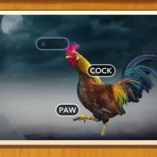 1 Pic N Words Level 379 Answers