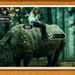 1 Pic N Words Level 380 Answers