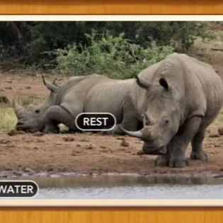 1 Pic N Words Level 384 Answers