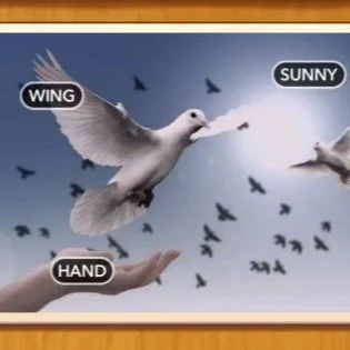 1 Pic N Words Level 385 Answers