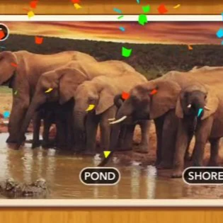 1 Pic N Words Level 387 Answers