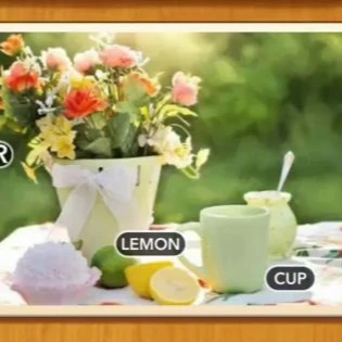 1 Pic N Words Level 39 Answers