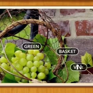 1 Pic N Words Level 390 Answers