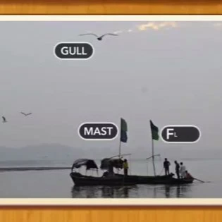 1 Pic N Words Level 395 Answers