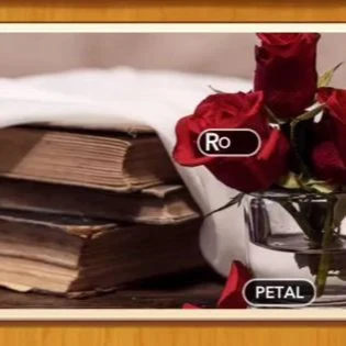 1 Pic N Words Level 397 Answers