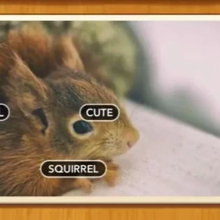 1 Pic N Words Level 404 Answers