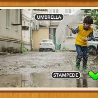 1 Pic N Words Level 41 Answers