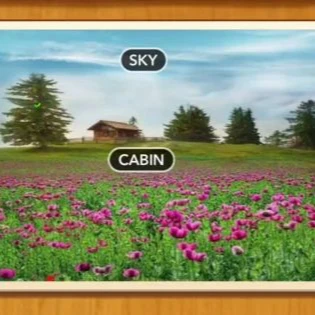 1 Pic N Words Level 412 Answers