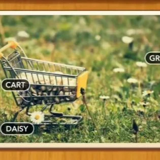 1 Pic N Words Level 421 Answers