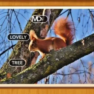 1 Pic N Words Level 422 Answers