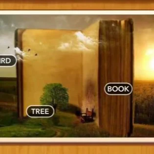 1 Pic N Words Level 428 Answers