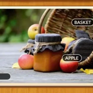 1 Pic N Words Level 433 Answers