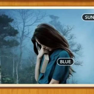 1 Pic N Words Level 441 Answers