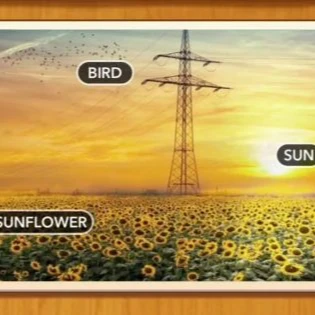 1 Pic N Words Level 442 Answers