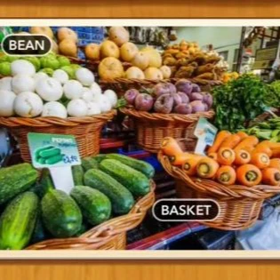 1 Pic N Words Level 445 Answers