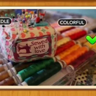 1 Pic N Words Level 462 Answers