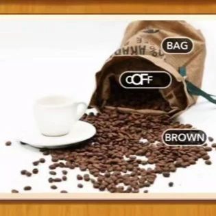 1 Pic N Words Level 463 Answers