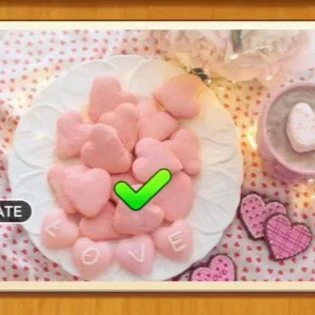 1 Pic N Words Level 464 Answers