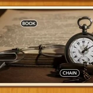 1 Pic N Words Level 482 Answers